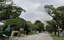 Woodlands Dormitory (D25), Factory #565814911